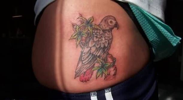 Cute Sweet African Parrot Tattoo